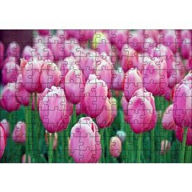 Cakapuzzle Bahçede Pembe Laleler Mdf 120 Parça Puzzle
