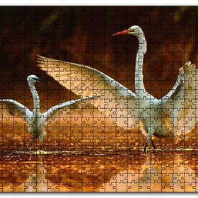 Cakapuzzle Balıkçıl Kuş ve Yavrusu Ahşap 1000 Parça Puzzle