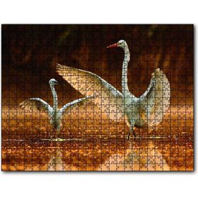 Cakapuzzle Balıkçıl Kuş ve Yavrusu Ahşap 1000 Parça Puzzle