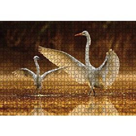 Cakapuzzle Balıkçıl Kuş ve Yavrusu Ahşap 1000 Parça Puzzle