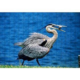 Cakapuzzle Balıkçıl ve Ağzında Yemeği 120 Parça Ahşap Puzzle