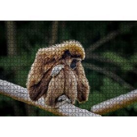 Cakapuzzle Bambu Üzerinde Dinlenen Gibbon Maymunu 120 Parça Ahşap Puzzle