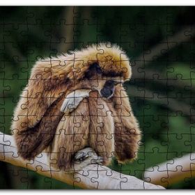 Cakapuzzle Bambu Üzerinde Dinlenen Gibbon Maymunu Mdf 1000 Parça Puzzle