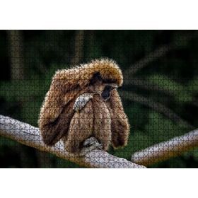 Cakapuzzle Bambu Üzerinde Dinlenen Gibbon Maymunu Mdf 1000 Parça Puzzle