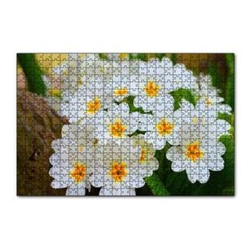 Cakapuzzle Bayaz Çuha Çiçeği Görseli 120 Parça Ahşap Puzzle
