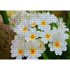Cakapuzzle Bayaz Çuha Çiçeği Görseli 120 Parça Ahşap Puzzle