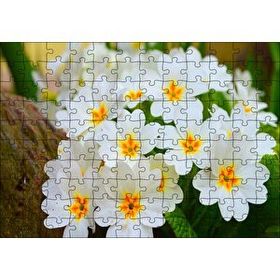 Cakapuzzle Bayaz Çuha Çiçeği Görseli 120 Parça Ahşap Puzzle