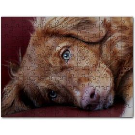 Cakapuzzle Baygın Adam Kurukafalar ve Uçaklar İllüstrasyon Mdf 255 Parça Puzzle