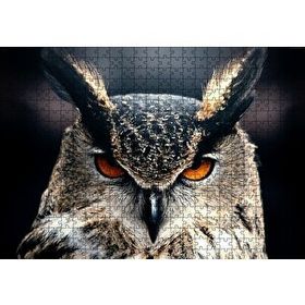 Cakapuzzle Baykuş Kalın Kaşlar Yakın Çekim 120 Parça Ahşap Puzzle