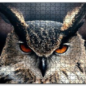Cakapuzzle Baykuş Kalın Kaşlar Yakın Çekim Mdf 120 Parça Puzzle