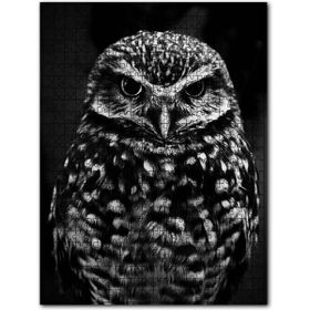 Cakapuzzle Baykuş Siyah Beyaz Fotoğraf 500 Parça Puzzle