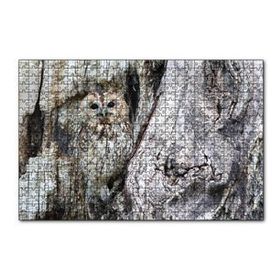 Cakapuzzle Baykuş ve Ağaçla Muhteşem Kamuflajı 120 Parça Ahşap Puzzle