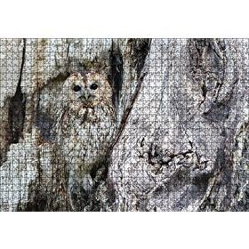Cakapuzzle Baykuş ve Ağaçla Muhteşem Kamuflajı 120 Parça Ahşap Puzzle