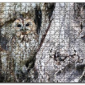 Cakapuzzle Baykuş ve Ağaçla Muhteşem Kamuflajı Mdf 255 Parça Puzzle