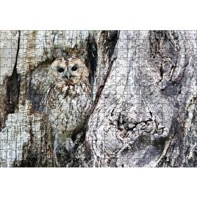 Cakapuzzle Baykuş ve Ağaçla Muhteşem Kamuflajı Mdf 255 Parça Puzzle