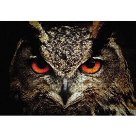 Cakapuzzle Baykuşun Gözleri 120 Parça Ahşap Puzzle