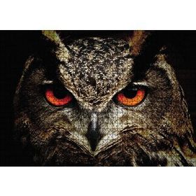 Cakapuzzle Baykuşun Gözleri 120 Parça Ahşap Puzzle