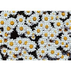 Cakapuzzle Bembeyaz Papatyalar Mdf 1000 Parça Puzzle