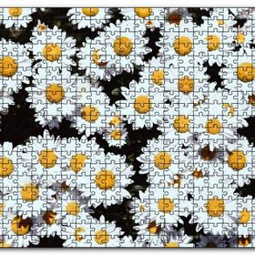 Cakapuzzle Bembeyaz Papatyalar Mdf 500 Parça Puzzle
