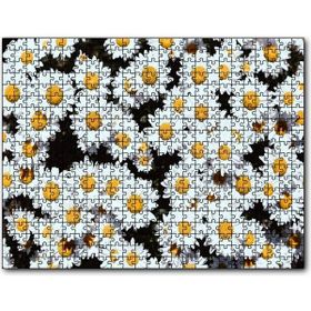 Cakapuzzle Bembeyaz Papatyalar Mdf 500 Parça Puzzle