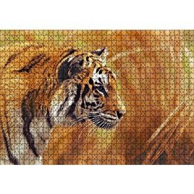 Cakapuzzle Bengal Kaplanı 120 Parça Ahşap Puzzle