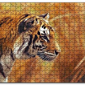 Cakapuzzle Bengal Kaplanı Ahşap 500 Parça Puzzle
