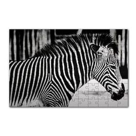 Cakapuzzle Benzersiz Deseniyle Zebra Yakın Çekim 120 Parça Ahşap Puzzle