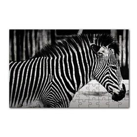 Cakapuzzle Benzersiz Deseniyle Zebra Yakın Çekim 120 Parça Ahşap Puzzle