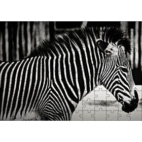 Cakapuzzle Benzersiz Deseniyle Zebra Yakın Çekim 120 Parça Ahşap Puzzle