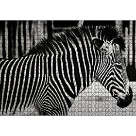 Cakapuzzle Benzersiz Deseniyle Zebra Yakın Çekim 120 Parça Ahşap Puzzle