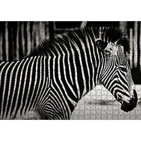 Cakapuzzle Benzersiz Deseniyle Zebra Yakın Çekim Mdf 500 Parça Puzzle