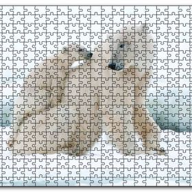 Cakapuzzle Beyaz Ayı Ailesi Kutup Ahşap 1000 Parça Puzzle