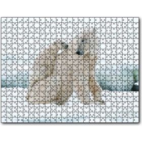 Cakapuzzle Beyaz Ayı Ailesi Kutup Ahşap 1000 Parça Puzzle