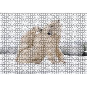 Cakapuzzle Beyaz Ayı Ailesi Kutup Ahşap 1000 Parça Puzzle