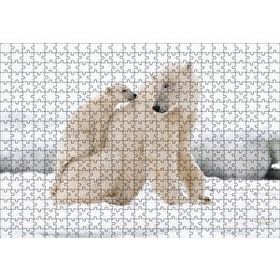 Cakapuzzle Beyaz Ayı Ailesi Kutup Ahşap 500 Parça Puzzle
