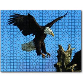 Cakapuzzle Beyaz Başlı Kartal Konuşu Mdf 120 Parça Puzzle