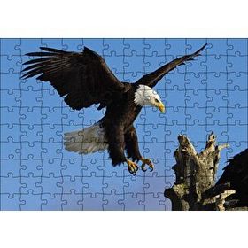 Cakapuzzle Beyaz Başlı Kartal Konuşu Mdf 120 Parça Puzzle