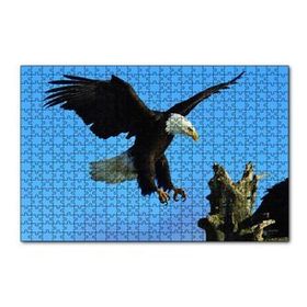 Cakapuzzle Beyaz Başlı Kartal Konuşu Puzzle