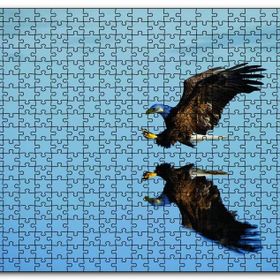 Cakapuzzle Beyaz Başlı Kartal Yansıma Mdf 120 Parça Puzzle