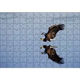Cakapuzzle Beyaz Başlı Kartal Yansıma Mdf 120 Parça Puzzle