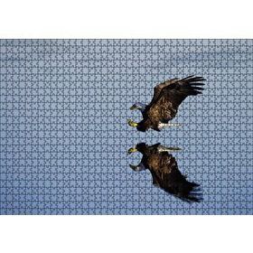 Cakapuzzle Beyaz Başlı Kartal Yansıma Puzzle