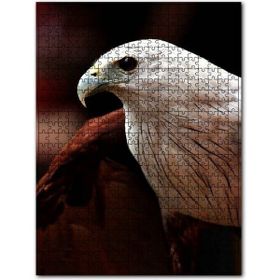Cakapuzzle Beyaz Başlı Şahin Yakın Plan Ahşap 1000 Parça Puzzle