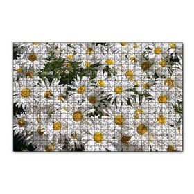 Cakapuzzle Beyaz Büyük Papatyalar 120 Parça Ahşap Puzzle