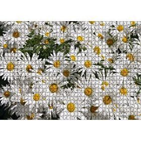 Cakapuzzle Beyaz Büyük Papatyalar 120 Parça Ahşap Puzzle