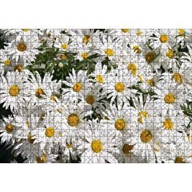 Cakapuzzle Beyaz Büyük Papatyalar 120 Parça Ahşap Puzzle