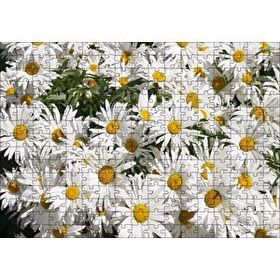 Cakapuzzle Beyaz Büyük Papatyalar 120 Parça Ahşap Puzzle