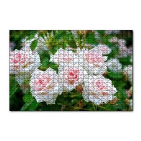 Cakapuzzle Beyaz Çalı Gülleri Görseli 120 Parça Ahşap Puzzle