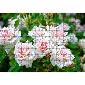 Cakapuzzle Beyaz Çalı Gülleri Görseli Mdf 120 Parça Puzzle