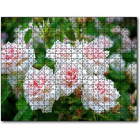 Cakapuzzle Beyaz Çalı Gülleri Görseli Mdf 500 Parça Puzzle