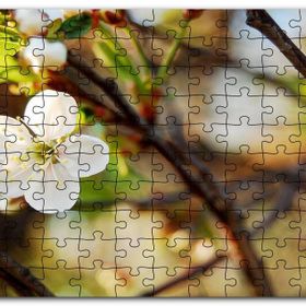 Cakapuzzle Beyaz Çiçek Arkaplanda Dallar ve Flu Yapraklar Mdf 255 Parça Puzzle